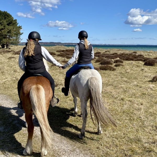 De to piger på heden